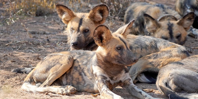 Nkasa-Rupara-Nationalpark-2