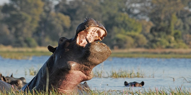 Nkasa-Rupara-Nationalpark-0