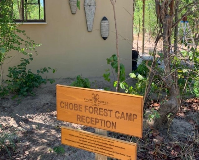 Chobe Forest Camp
