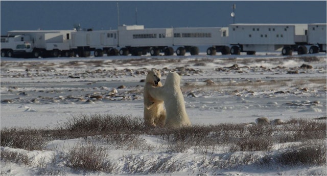 The Tundra Buggy Lodge