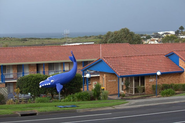 Blue Whale Motor Inn & Apartments