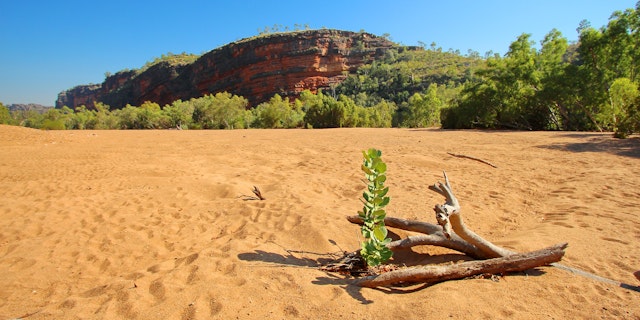 Windjana Gorge National Park-2