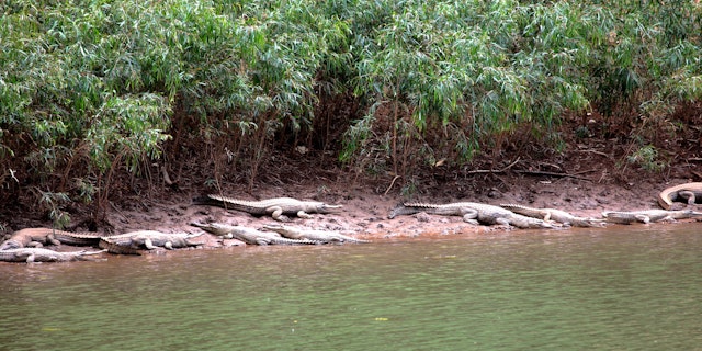 Windjana Gorge National Park-4