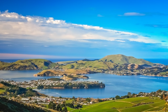 Otago Peninsula-0