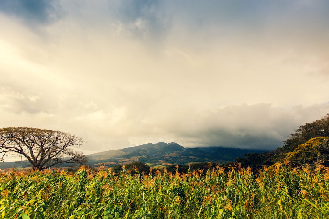 15 Tage Costa Rica Detox Reise
