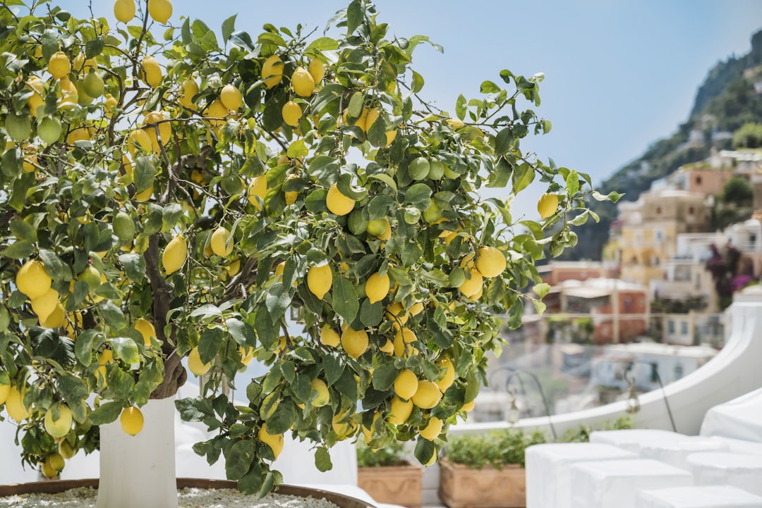 Southern Italy Road Trip: 7 Days by Car