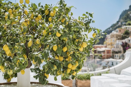 Southern Italy Road Trip: 7 Days by Car - Image 4