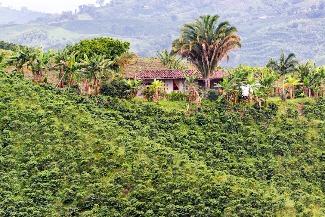 Kolumbien von Bogotá nach Cartagena bereisen