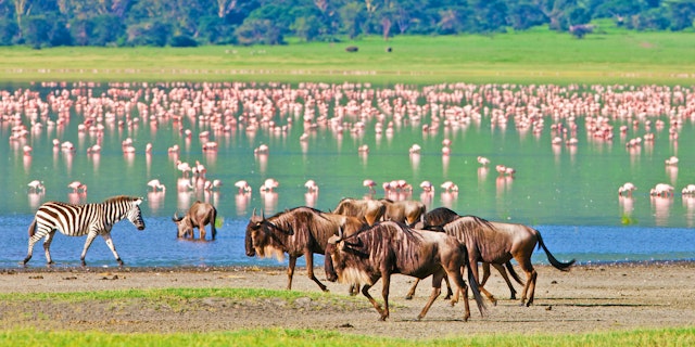 Ngorongoro Krater-5