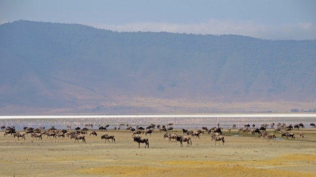 Ngorongoro Krater-3