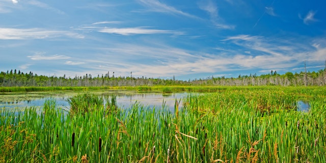 Kouchibouguac National Park-0