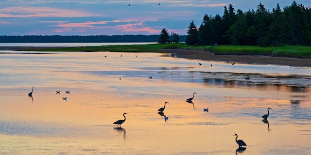 Kouchibouguac National Park-5