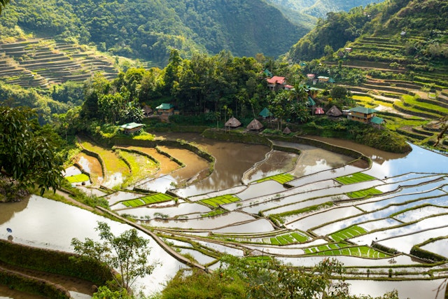Banaue Rice Terraces-3
