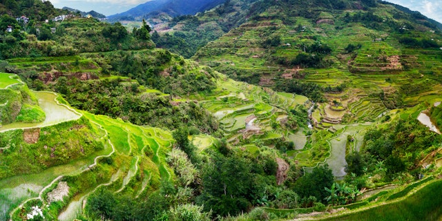 Banaue Rice Terraces-0