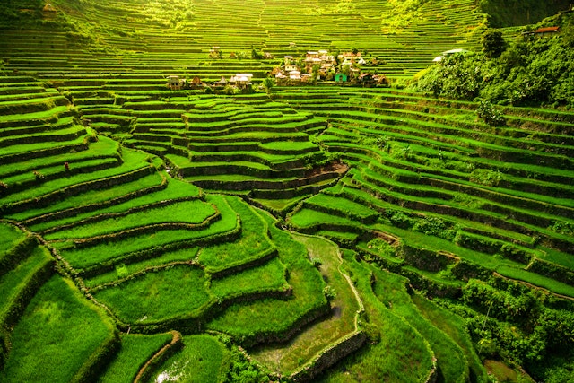 Banaue Rice Terraces-6