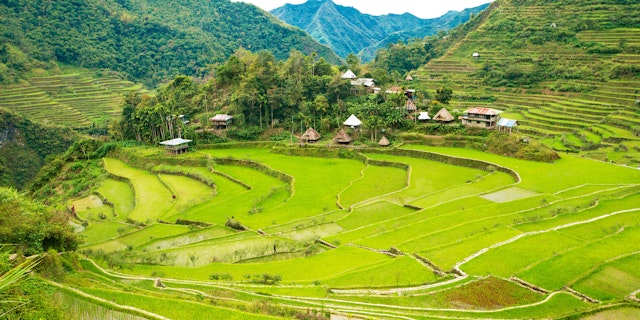 Banaue Rice Terraces-1