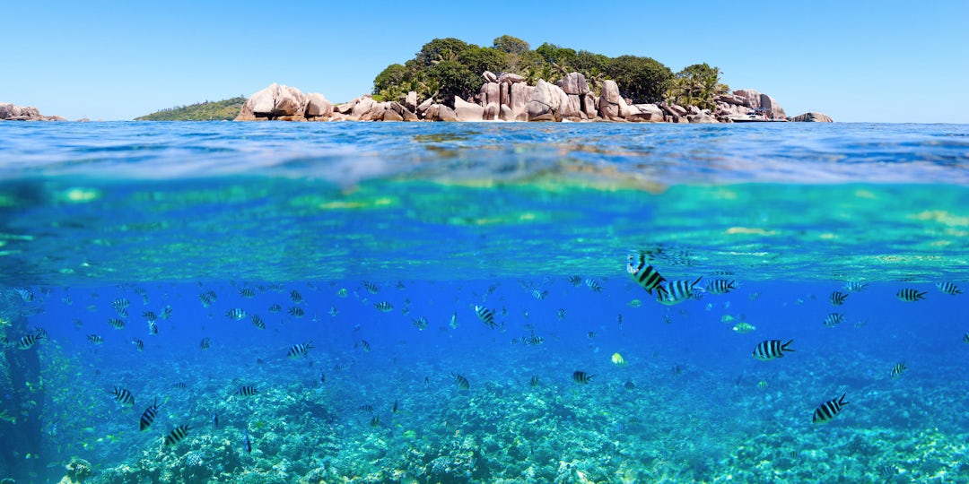 Sonne, Sand und Meer: Seychellen in 7 Tagen