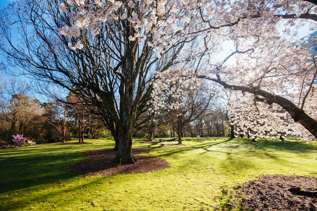 Christchurch-2