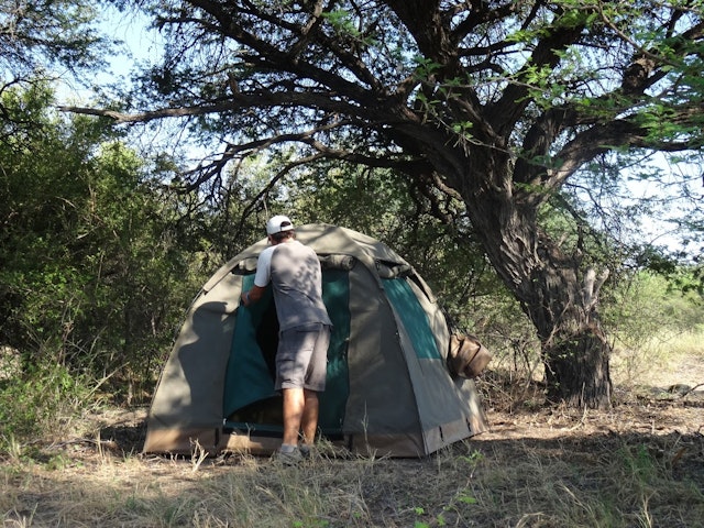 Bush Ways Savuti Camp