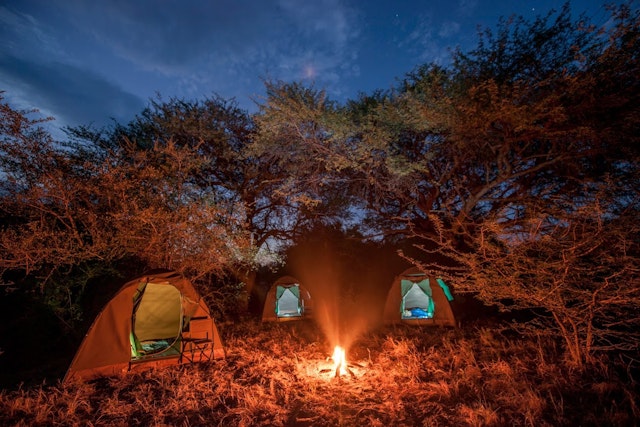 Bush Ways Savuti Camp