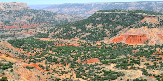 Amarillo-3