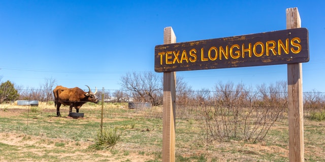 Amarillo-4