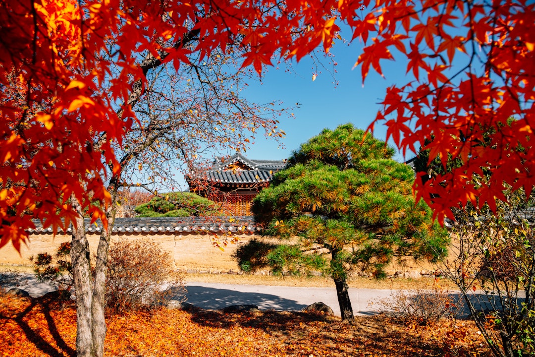 Südkorea Rundreise 3 Wochen: Paläste, Tempel & Natur