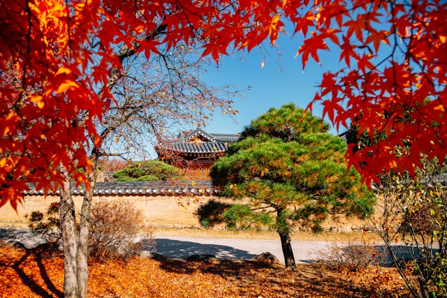 3 Wochen Südkorea Rundreise mit Palästen, Tempeln & Natur