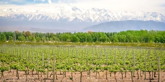 Mendoza Wine Region-0