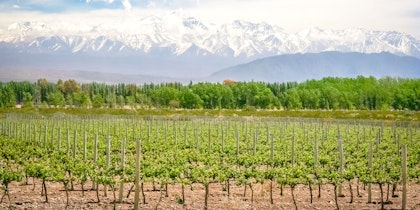 Patagonien Rundreise 3 Wochen: Selbstfahrer mit Mietwagen - Image 2