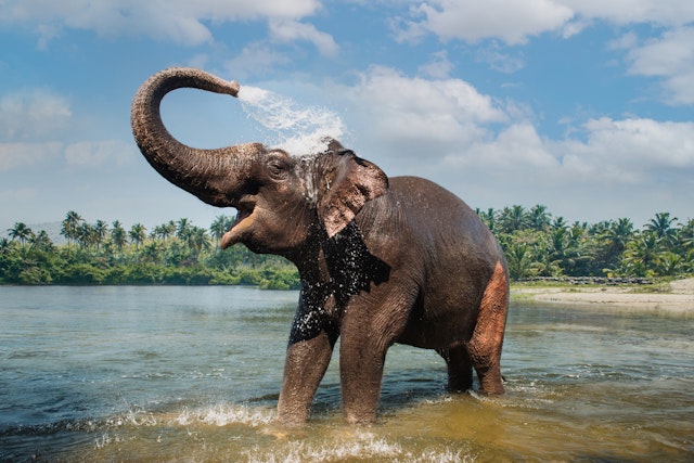 Kerala-4