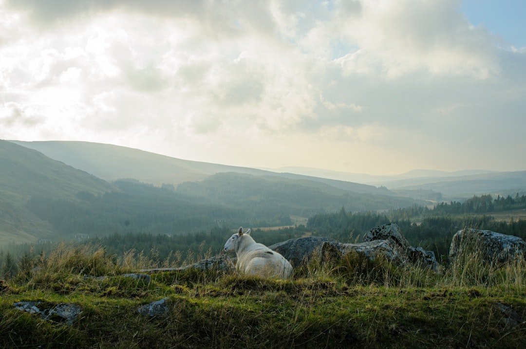 Ireland Itinerary: 14 Days on a Self-Drive Tour of the South