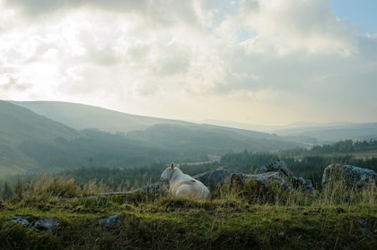 Irland Rundreise: 2 Wochen im Süden der Insel - Image 1