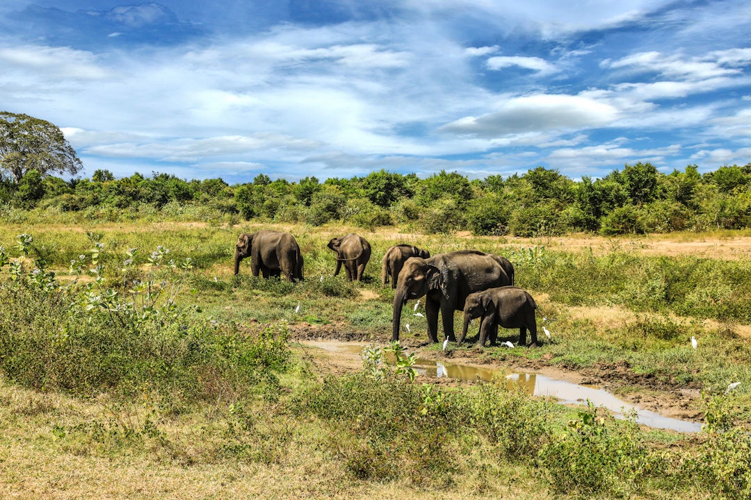 Séjour balnéaire au Sri Lanka