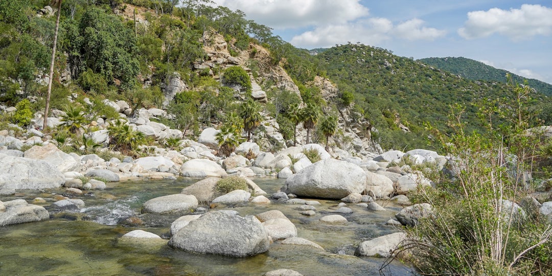 Road Trip en Basse-Californie : 11 jours d'aventure

