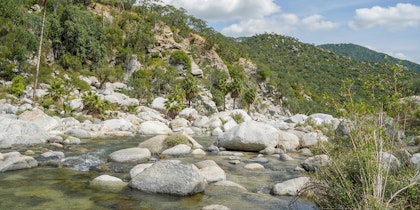 Road Trip en Basse-Californie : 11 jours d'aventure

 - Image 3