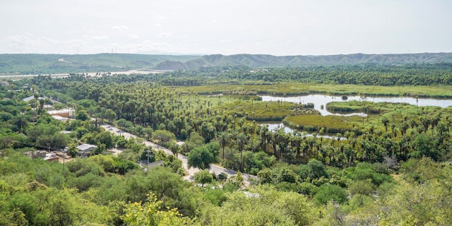 San Dionisio-5