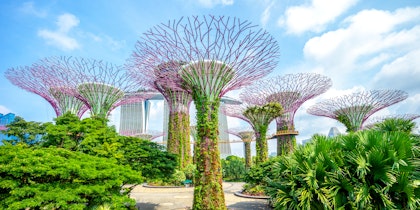 Singapur Rundreise 7 Tage: Skyline, Streetfood & Sentosa erleben - Image 4