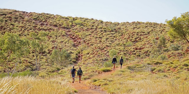 Halls Creek-5