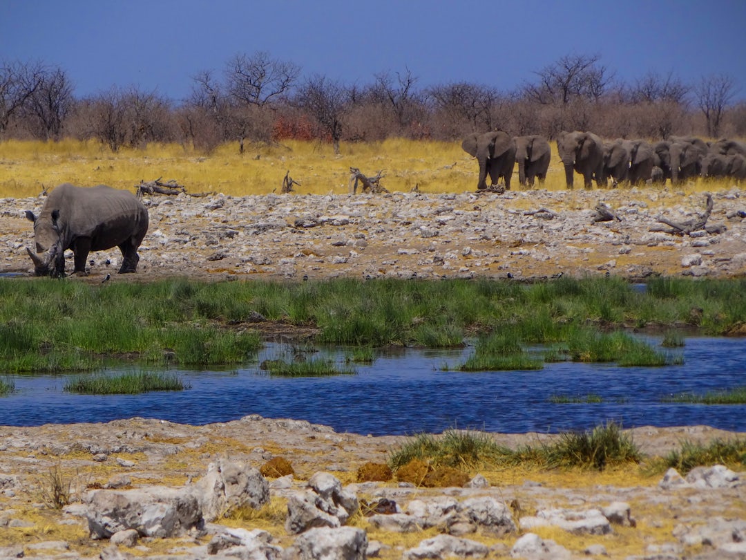 Séjour golf en Afrique du Sud