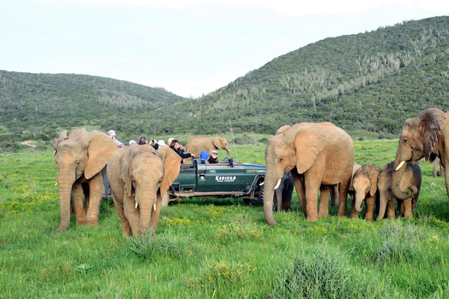 Naturabenteuer auf Südafrikas Garden Route