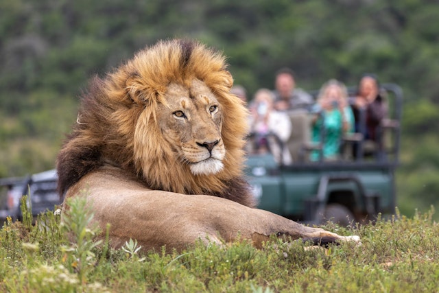Kariega Game Reserve