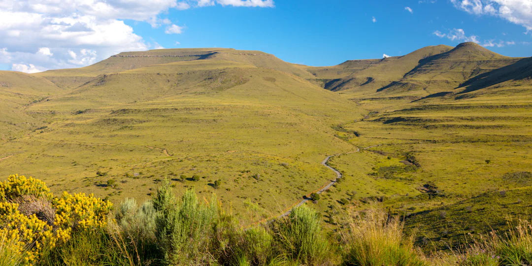 Circuit touristique en Afrique du Sud