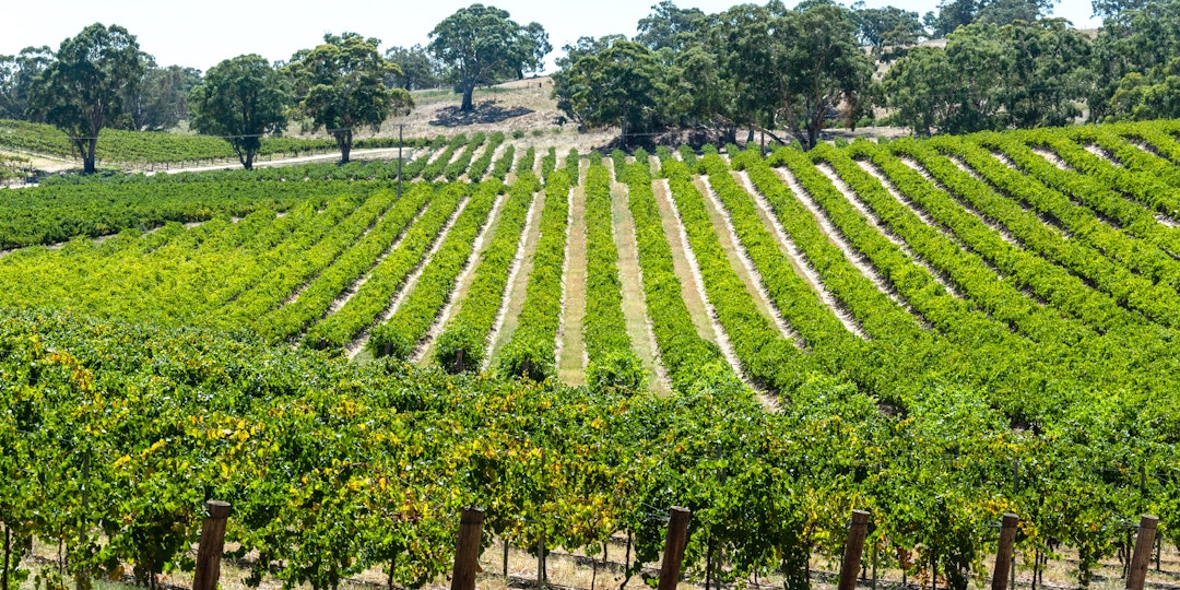 2 Monate Australien Abenteuer