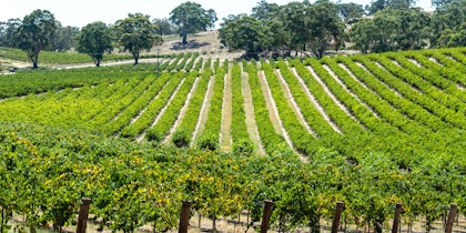 2 Monate Australien: Das Abenteuer Ihres Lebens - Image 2