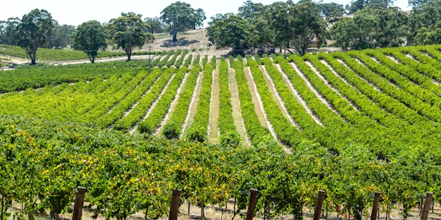 2 Monate Australien Abenteuer