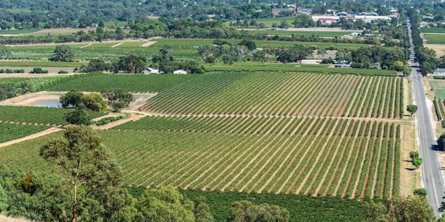 Tanunda-2