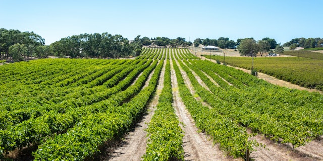 Tanunda-1