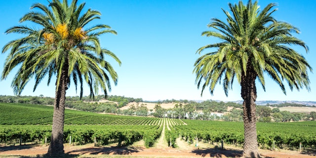 Tanunda-4