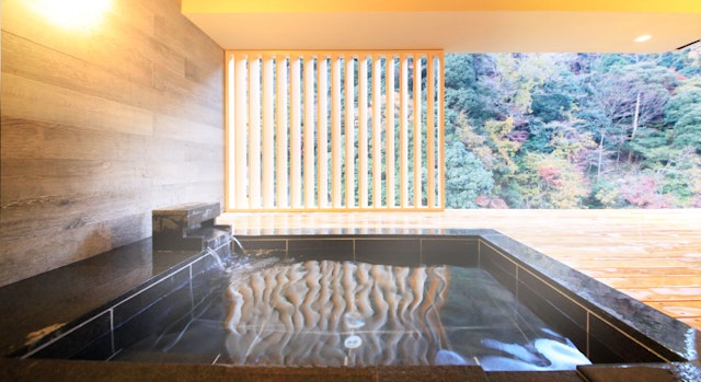Hakone Pax Yoshino